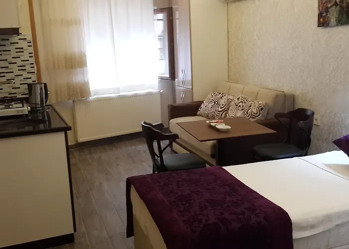 Taksim Celebi 公寓式酒店 伊斯坦布尔